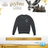 Famesbro Cinereplica: Sweater - Slytherin