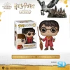 FUNKO Pop! Movies: Harry Potter - Quidditch Harry Potter