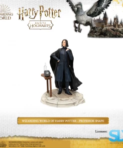 Enesco: Wizarding World Of Harry Potter - Professor Snape