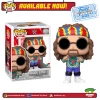 FUNKO [IN-STOCK] Pop! WWE: Dude Love