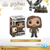 FUNKO POP! Movies: Harry Potter - Sirius Black 2 FUNKO POP! Movies: Harry Potter - Sirius Black