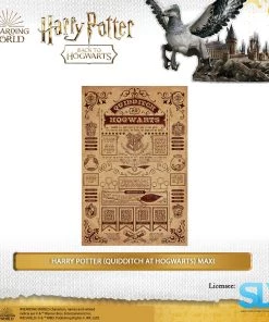 Wizarding World Pyramid International: Harry Potter (Quidditch At Hogwarts) Maxi Poster
