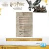 Pyramid International: Harry Potter (The Wand Chooses The Wizard) Maxi Poster